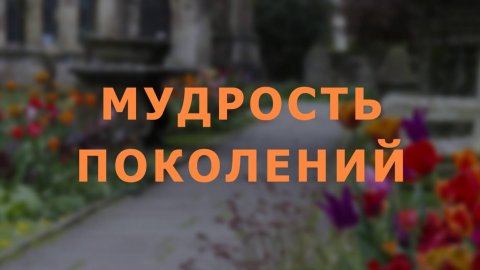 Мудрость поколений. Сеанс регрессии