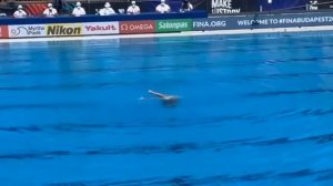 Anita Alvarez US swimmer lost consciousness in pool saved by coach complete video