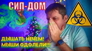 СИП-ДОМ КАК ЖИТЬ?! ДЫШАТЬ НЕЧЕМ И МЫШИ ОДОЛЕЛИ!!! Отзыв о проживании в сип-доме.