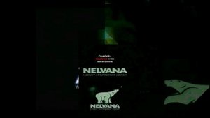 klasky csupo effects vs nelvana effects