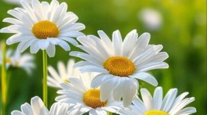 Интересная история - Лабиринт выбора....