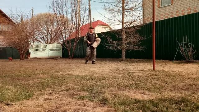 Тренинг по ЗКС.