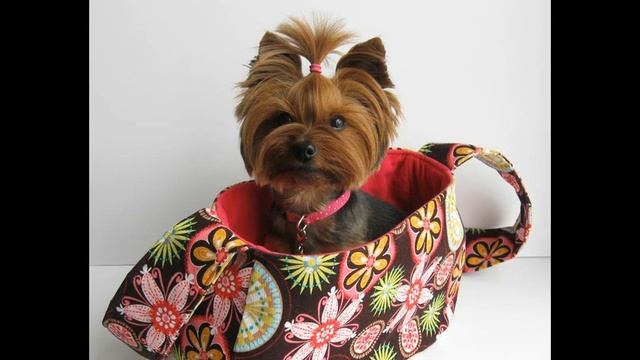 сумка на колесах для собак смотреть онлайн