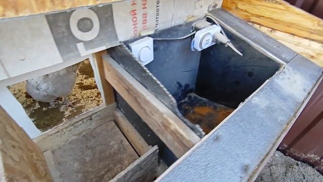 В курятник пришла беда. Появились в курятнике крысы. смотреть онлайн