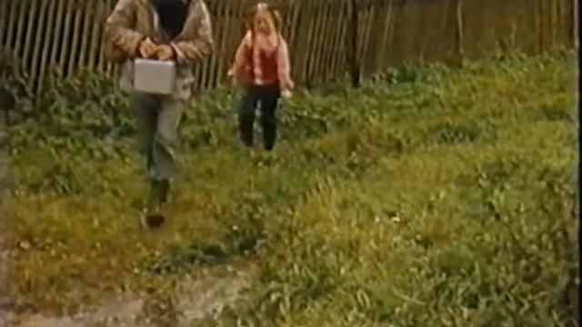 Водоросли смотреть онлайн