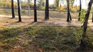 ДОКТОР Виктория Оса в ШОКЕ лечит ОГРОМНУЮ ШИШКУ Мальвина ДРАЗНИТСЯ Клава ОТЖИГАЕТ