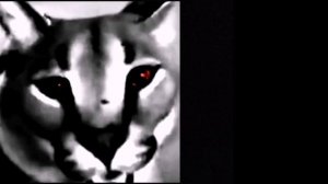 Жуткие лица Шлёпы   оригинал   шаблон мема 1