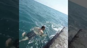 #ВТРЕНДЕ#СОЧИ#мидии#  Собираем мидии на море, На чёрное море