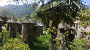 АБХАЗИЯ. МЕДОВЫЙ ДВОР. Дегустация. 04.23. Путешествие в одиночку 🙂.