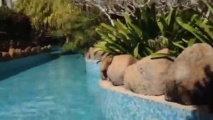 Hotel Venetur Margarita Swimming Pool.   Margarita Island,