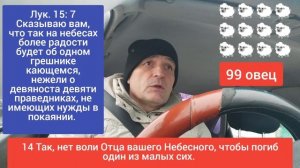 🆘 СТРИЖЕМ СТАДО И НЕ ЖУЖЖИМ‼️