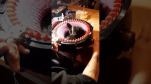 подборка котиков