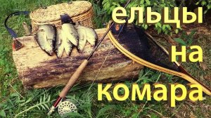 Рыбалка на ельца. Мушка комарик и способ ловли. Поиск ельца и отличные поклевки!!!