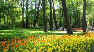 Май в Петербурге 2024 год