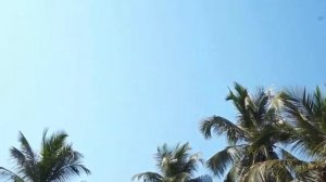 Северный Гоа. Бага. Дорога к отелю  ESTRELA DO MAR 3*