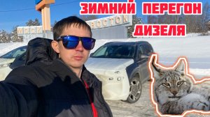 Зимний перегон дизеля Santa Fe. Встреча с рысью, фазанами)))) 1.12.2024