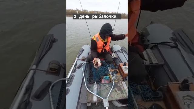 2 день рыбалочки