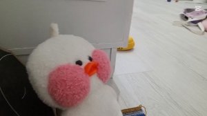 урок у 3 касса к 👩🏼🏫