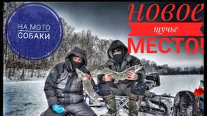 новое место порадовало)рыбалка на живца!