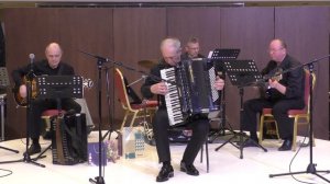 Барт Ховард "Унеси меня на луну"  Играет аккордеонист-виртуоз  Владимир Никулин. Новосибирск