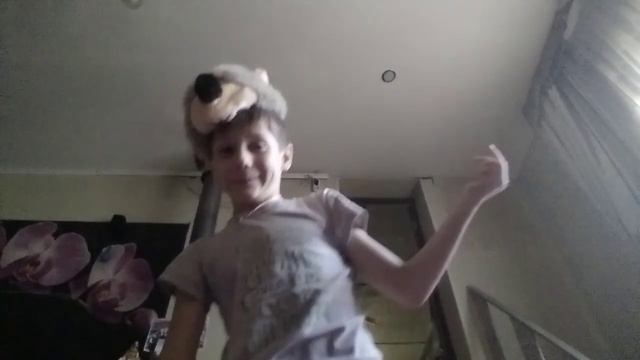 та самоя собака каторая думает что она самоя главная смотреть онлайн