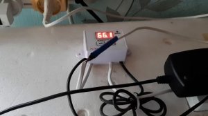 Инкубатор несушка. Доработка. Вывод. Наш птичий двор
