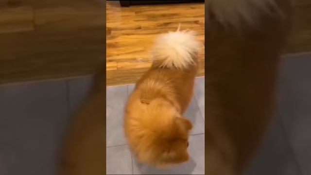 Тут явно кто-то менее сообразительный 🤔