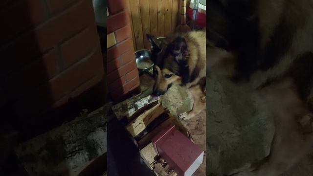 Джек смотреть онлайн