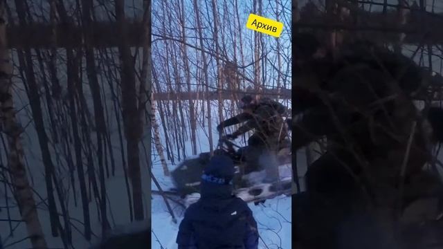 Архивное видео. Ни один кустарник не пострадал