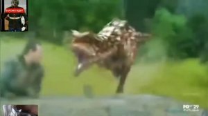 Всё о Карнотавре!