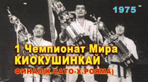 I Абсолютный Чемпионат Мира по Киокушинкай