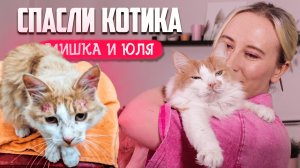 КАК МЫ СПАСЛИ ЕЩЕ ОДНОГО КОТИКА - История Котика Перси