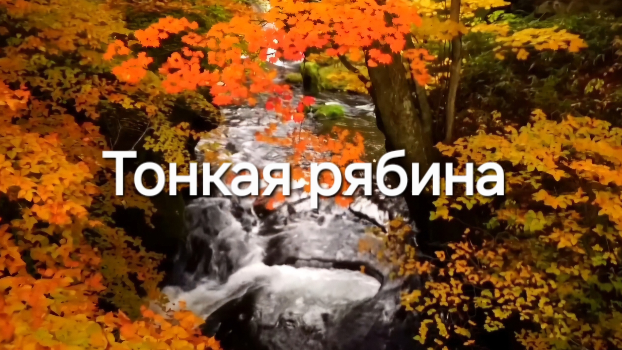 Тонкая рябина смотреть онлайн