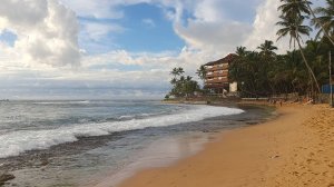 Шри Ланка. Декабрь 2023