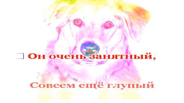 ПРОПАЛА СОБАКА
