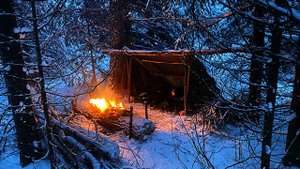 Одиночная ночевка с собакой, без палатки, в снежном лесу, бушкрафт