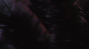 Открытие Новогодней Елки Абаза-Заречная 2024