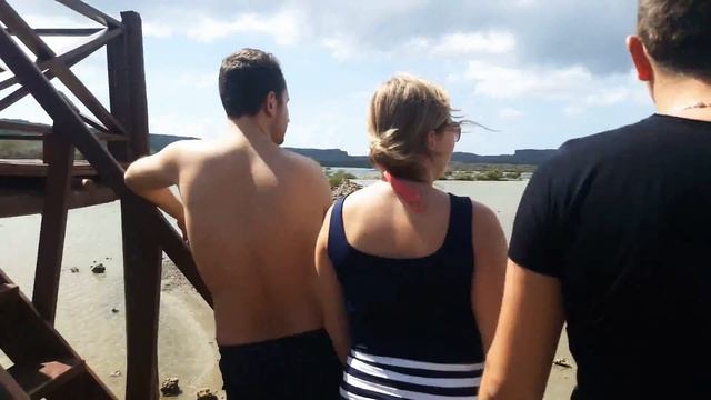 фламинго на Карибах
