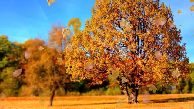 115 = Вот и осень=Сл А Зенцов,муз Е Обухова,исп М Семенова 17 12 2020 смотреть онлайн