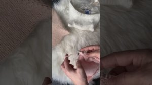 17 февраля 2024 г.