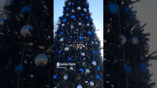 1000173555.mp4