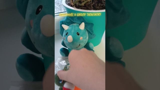 ПОВ:ПРИНЁС В ШКОЛУ ТАПАЛАПКУ