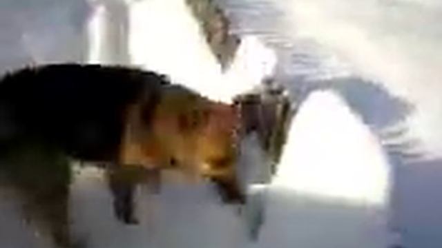 SSPX0318 смотреть онлайн