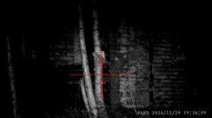 PARD_20241229_193300 (online-video-cutter.com)