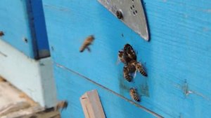 Подлет к летку 120 -я скорость.. Нужны ли прилетки?!