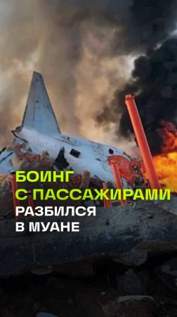 Самолет с пассажирами разбился при посадке в аэропорту южно-корейского Муан - заклинило шасси