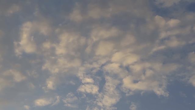 Hilton Sharks bay. Snorkeling. Sharm El Sheikh. Red sea. смотреть онлайн