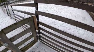 РОДИЛА ДВОИХ ! ПОПОЛНЕНИЕ В ХОЗЯЙСТВЕ ! ХУТОР В ЛЕСУ №555