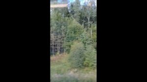 От станции пятидесятый километр
