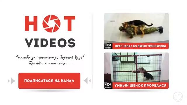 Марвари, Индия, Бангалор (27.12.2015) смотреть онлайн